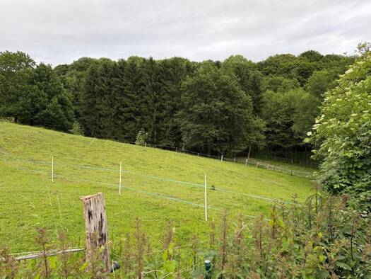 Grundstück zum Kauf provisionsfrei als Kapitalanlage geeignet 48.000 € 4.281 m² Grundstück Burscheid Burscheid 51399