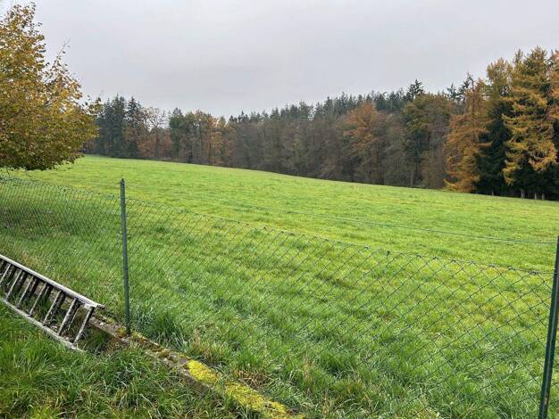 Mehrfamilienhaus zum Kauf 450.000 € 8 Zimmer 204 m² 512 m² Grundstück Zellhub Eggenfelden 84307