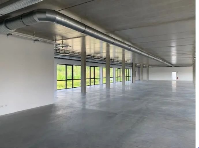 Büro-/Praxisfläche zur Miete 10 € 4.035 m²<br/>Bürofläche ab 650 m²<br/>Teilbarkeit Unteröwisheim Kraichtal 76703