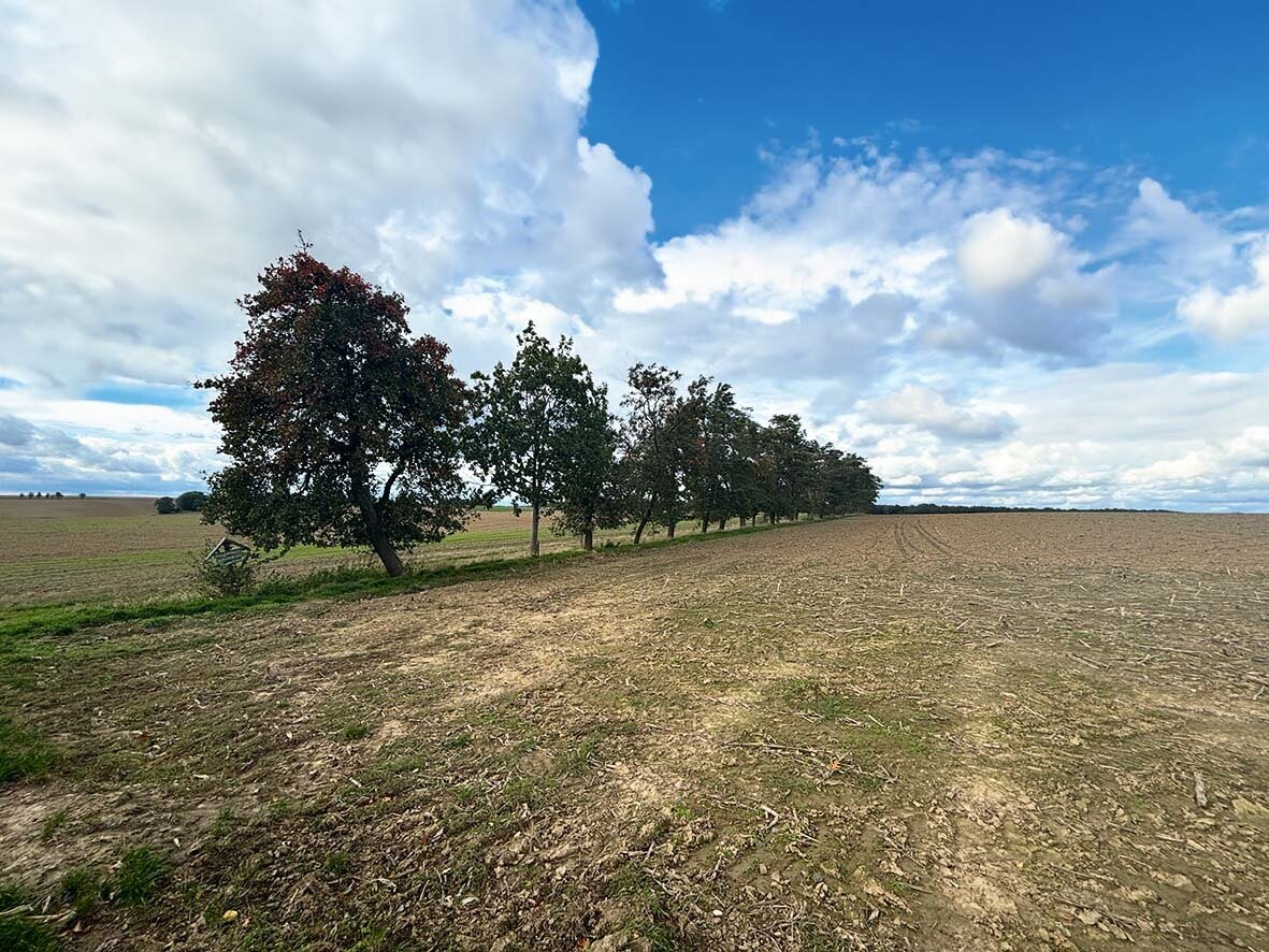 Landwirtschaftliche Fläche zur Versteigerung 750 € 1.035 m²<br/>Fläche Paschkowitz Mügeln 04769