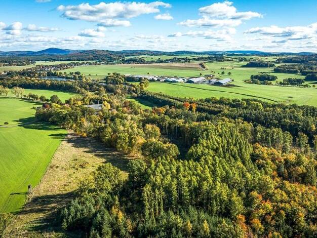 Sonstiges zum Kauf 480.000 € 82.078 m² Grundstück Goldbach Bischofswerda 01877