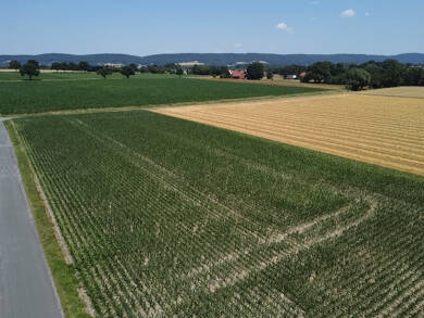 Grundstück zum Kauf 370.000 € 2.072 m² Grundstück Werste Bad Oeynhausen 32549