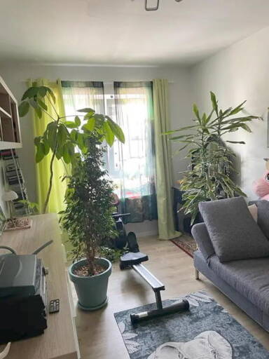 Haus kaufen in Ludwigshafen am Rhein immowelt