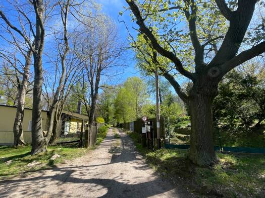 Sonstiges zum Kauf als Kapitalanlage geeignet 93.000 € 4.203 m² Grundstück Machern 04827