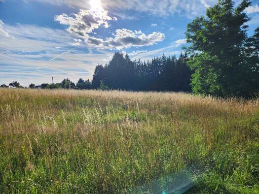 Grundstück zum Kauf provisionsfrei 125.000 € 2.049 m² Grundstück Wolkenburg-Kaufungen Limbach-Oberfrohna 09212