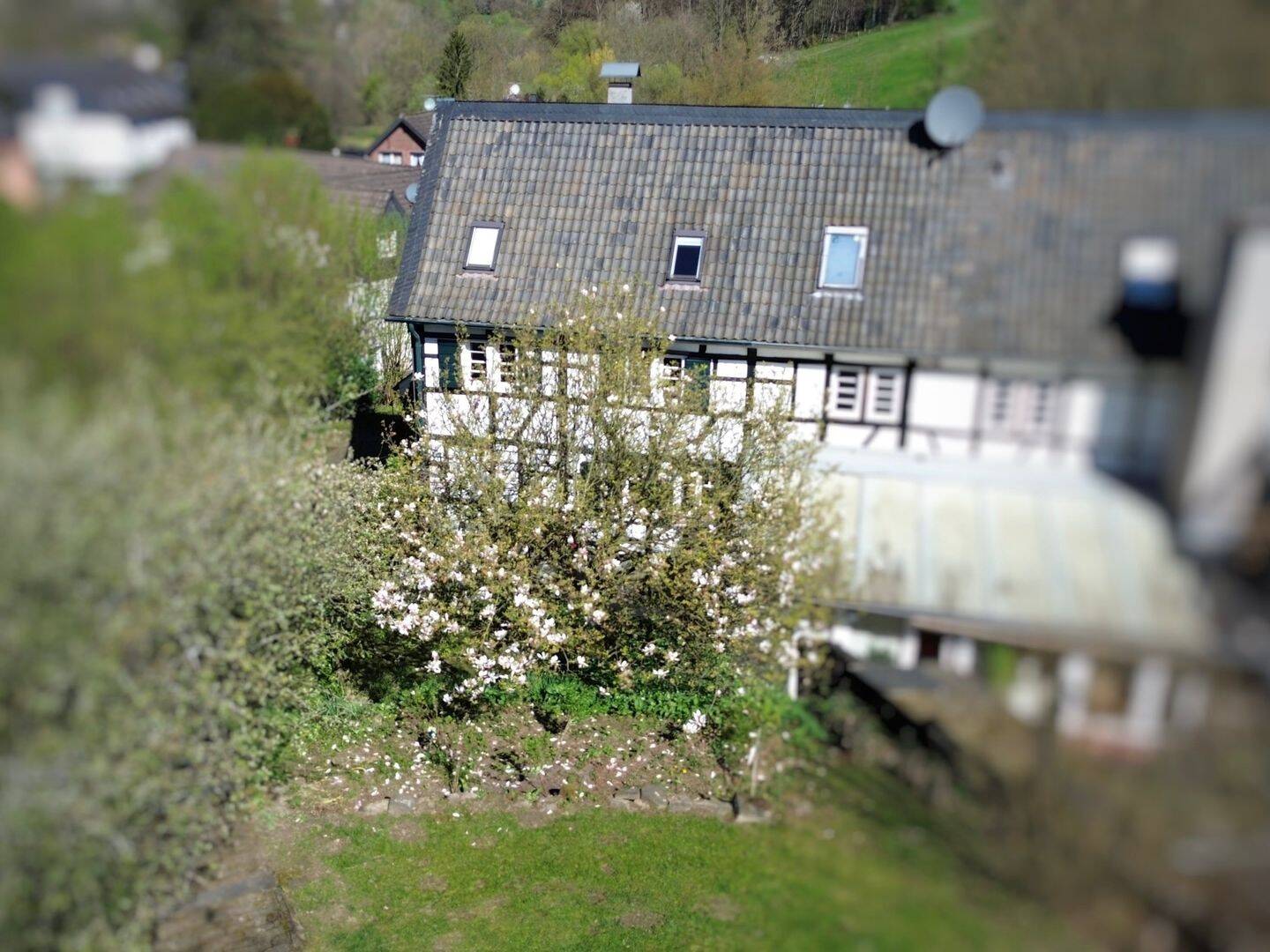 Einfamilienhaus zum Kauf - Ansicht 4