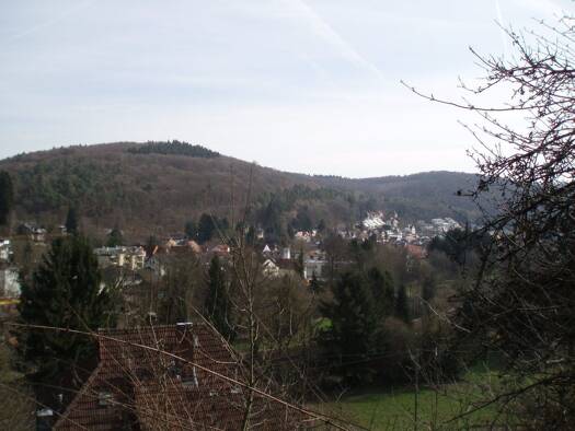 Grundstück zum Kauf 499.000 € 759 m² Grundstück Baugenehmigung vorhanden Hofheim Hofheim am Taunus 65719
