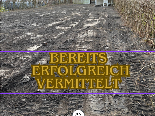 Grundstück zum Kauf 560.000 € 1.017 m² Grundstück Grüne Twiete Halstenbek 25469