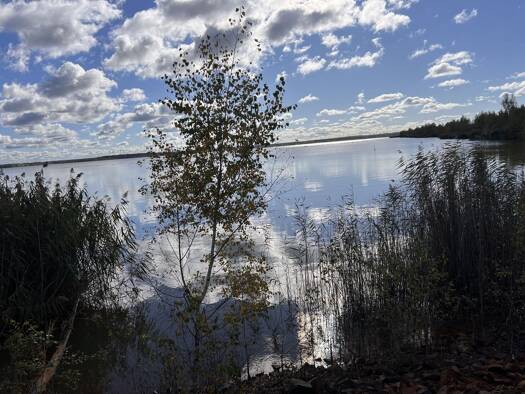 Bauernhaus zum Kauf 195.000 € 3 Zimmer 120 m² 6.000 m² Grundstück Schlabendorf Luckau 15926