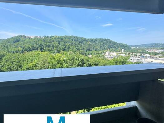 Wohnung zur Miete 404 € 1 Zimmer 45 m² 8. Geschoss frei ab sofort St Arnual Saarbrücken / Schönbach 66119