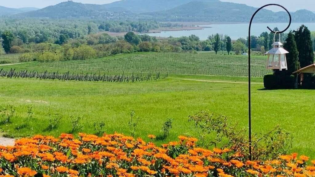 Haus zum Kauf 325.000 € 2 Zimmer 65 m² 3.104 m² Grundstück Balatonederics 8312