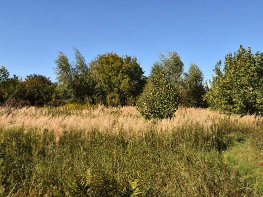 Grundstück zum Kauf 800.000 € 2.565 m² Grundstück Schapen Braunschweig 38104