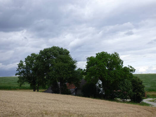 Haus zum Kauf 350.000 € 4 Zimmer 6.000 m² Grundstück Schachten Altfraunhofen-Weihern 84169