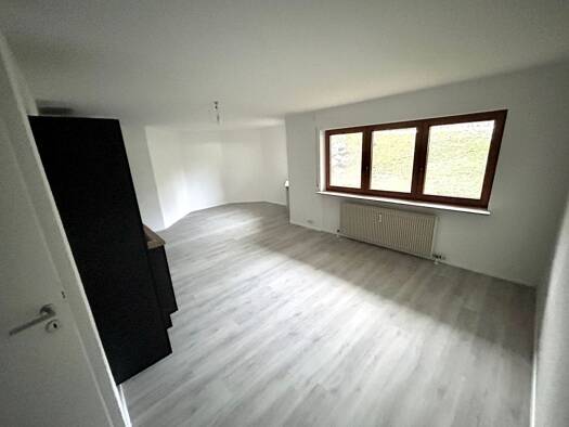 Wohnung zur Miete 750 € 2 Zimmer 67 m² Geschoss -1/3 frei ab sofort Birkenhard Warthausen 88447
