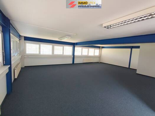 Büro zur Miete 700 € 80 m² Bürofläche Wyhlen Grenzach-Wyhlen 79639