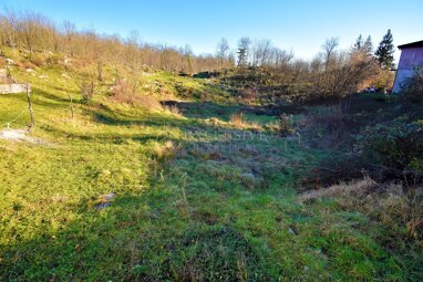 Land-/Forstwirtschaft zum Kauf 120.000 € Mucici