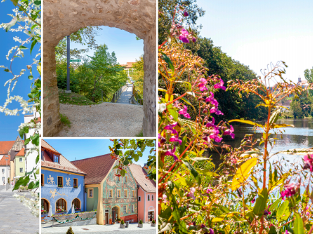 Wohnung zum Kauf provisionsfrei 319.500 € 2 Zimmer 70,3 m² 1. Geschoss frei ab sofort Krankenhausstraße Nabburg 92507