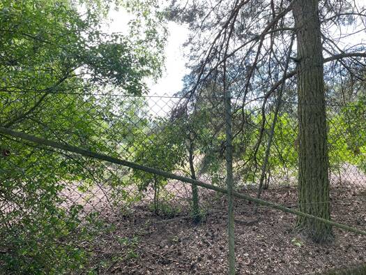 Grundstück zum Kauf 28.000 € 900 m² Grundstück Cumlosen Cumlosen 19322