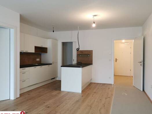 Wohnung zur Miete 880 € 2 Zimmer 55,3 m² Wien 1230