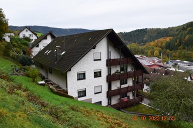 Wohnung zur Miete 600 € 2 Zimmer 66 m² 4. Geschoss frei ab sofort am eckenacker 16 Bad Peterstal Bad Peterstal-Griesbach 77740