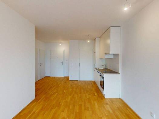 Wohnung zur Miete 602 € 2 Zimmer 55,7 m² 1. Geschoss frei ab 01.03.2026 Neubaugasse 41 Lend Graz 8020