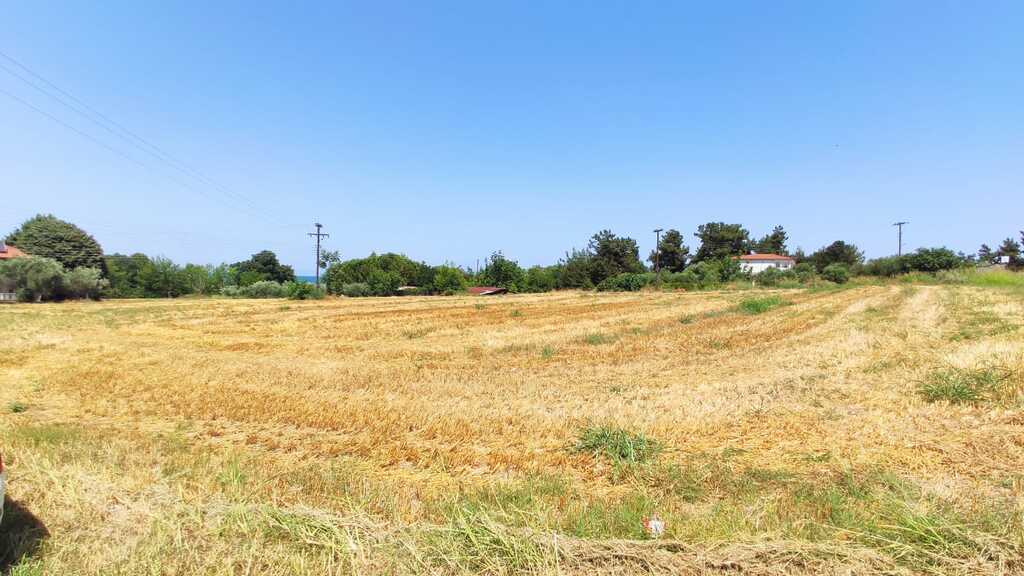 Land-/Forstwirtschaft zum Kauf 220.000 € 5.850 m² Grundstück Olympische Riviera