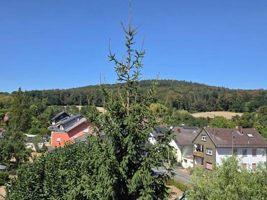 Wohnung zur Miete 850 € 3 Zimmer 60 m² Geschoss 1/3 frei ab 01.11.2026 Lützelhausen Linsengericht 63589