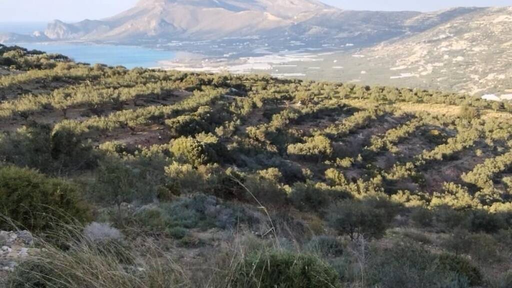 Grundstück zum Kauf 130.000 € 4.050 m² Grundstück Kreta Phalasarna 734 00