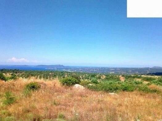Grundstück zum Kauf 75.000 € 5.925 m² Grundstück Municipality of Pylos and Nestor 24004