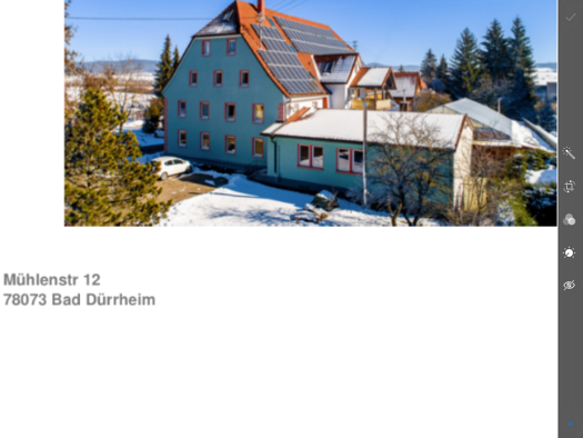 Mehrfamilienhaus zum Kauf provisionsfrei 1.650.000 € 1 Zimmer 530 m² 1.738 m² Grundstück Mühlenstraße 12 Biesingen Bad Dürrheim 78073