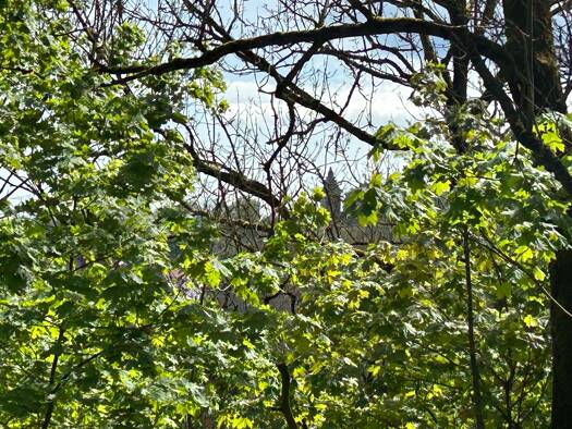 Grundstück zum Kauf 195.000 € 920 m² Grundstück Baugenehmigung vorhanden Barfüßerstraße Eisenach Eisenach 99817