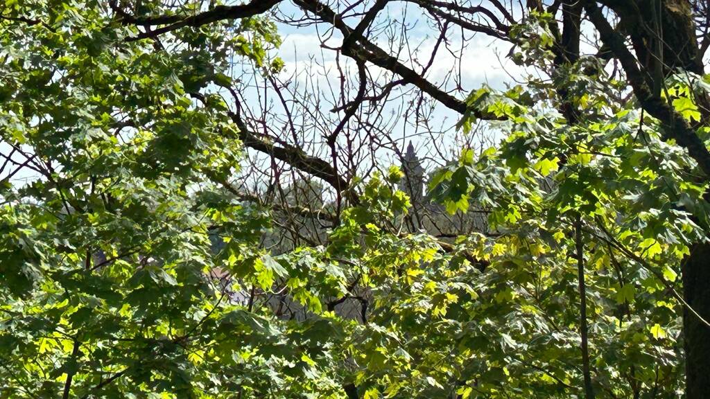 Grundstück zum Kauf 199.000 € 920 m² Grundstück Baugenehmigung vorhanden Barfüßerstraße Eisenach 99817