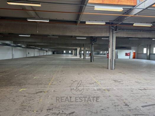Lagerhalle zur Miete 5.800 m² Lagerfläche Bad Oldesloe 23843