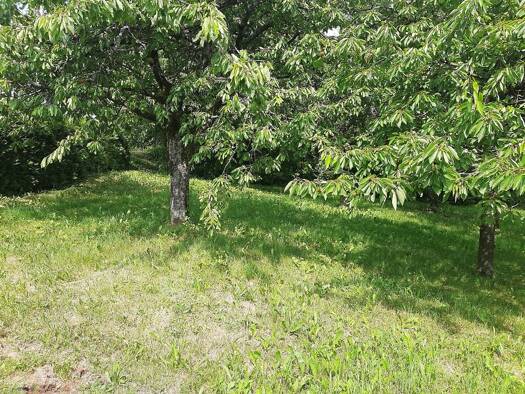 Grundstück zum Kauf 120.000 € 1.277 m² Grundstück Schönbrunn 69436
