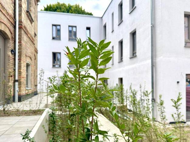 Maisonette zum Kauf - Erstbezug provisionsfrei 890.000 € 4 Zimmer 105,9 m² frei ab sofort Berliner Allee Weißensee Berlin 13088