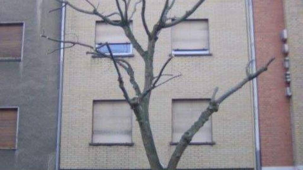 Mehrfamilienhaus zum Kauf als Kapitalanlage geeignet 390.000 € 10 Zimmer 216 m² 360 m² Grundstück Zülpicher Straße 34 Düren 52349