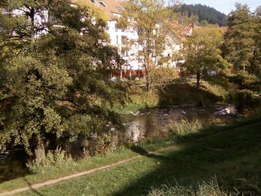 Wohnung zur Miete 520 € 1 Zimmer 25 m² Geschoss -1/1 frei ab 15.04.2026 Oberau Freiburg im Breisgau 79102