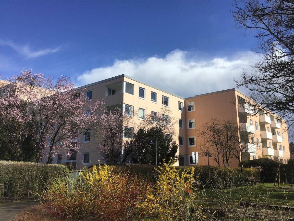 Wohnung zur Miete
