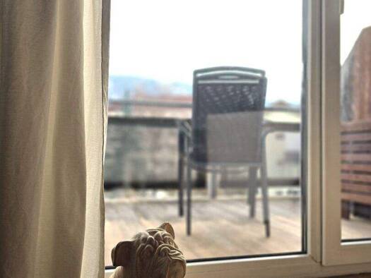 Wohnung zur Miete 1.070 € frei ab 01.03.2026 Hall in Tirol 6060