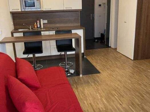 Studio zur Miete 620 € 1 Zimmer 33,8 m² frei ab 16.09.2026 Innenstadt Erlangen 91052