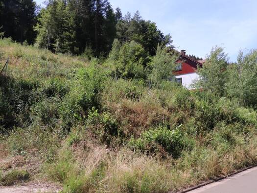 Grundstück zum Kauf 40.000 € 1.355 m² Grundstück Horbach 66851