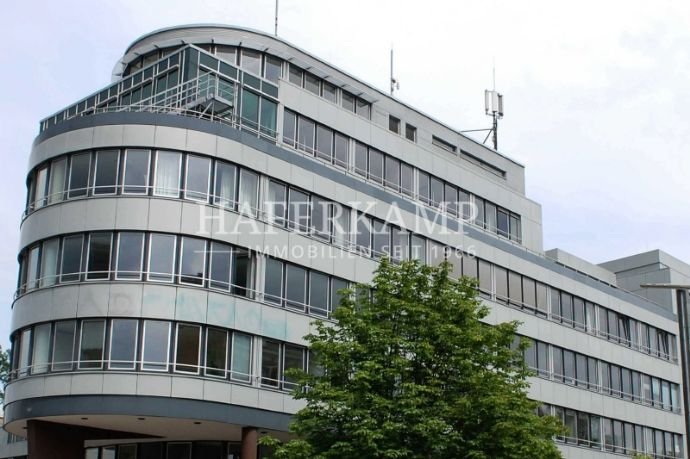 Bürofläche zur Miete provisionsfrei 13,90 € 549 m²<br/>Bürofläche Altona - Altstadt Hamburg 22765