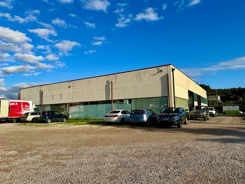 Produktionshalle zum Kauf 990.000 € 1.000 m²<br/>Lagerfläche Capanone Industriezone Massa Marittima 58024