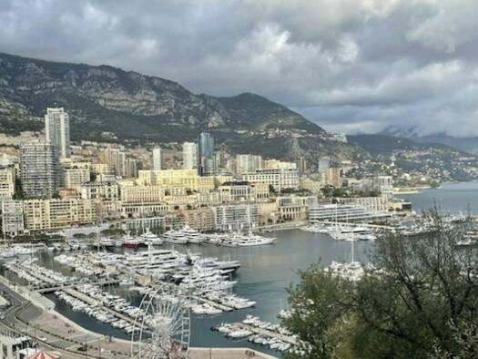 Einfamilienhaus zum Kauf 6 Zimmer 350 m² Monaco 98000