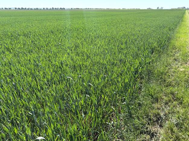 Land-/Forstwirtschaft zum Kauf 1.750.000 € 135.297 m² Grundstück Oberwichterich Euskirchen 53881