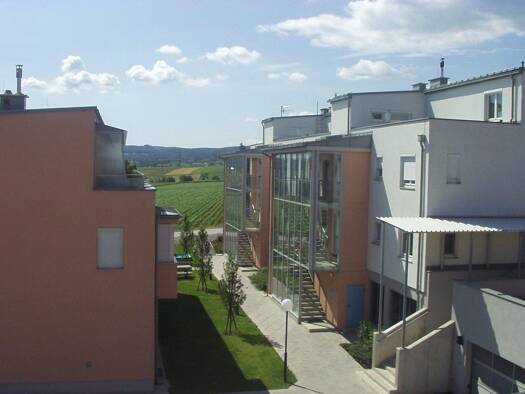 Wohnung zur Miete 746 € 2 Zimmer 74 m² 1. Geschoss Anton Wesselystraße 24a Mattersburg 7210