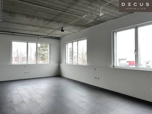 Produktionshalle zur Miete 6,50 € 2.125 m² Lagerfläche teilbar ab 2.125 m² Wien 1230