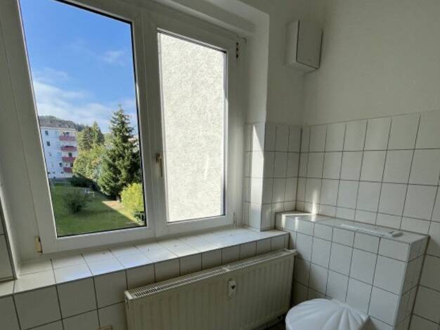 Wohnung zur Miete 209 € 1 Zimmer 40,3 m² 2. Geschoss Reinsdorfer Straße 72 Südvorstadt Plauen 08527