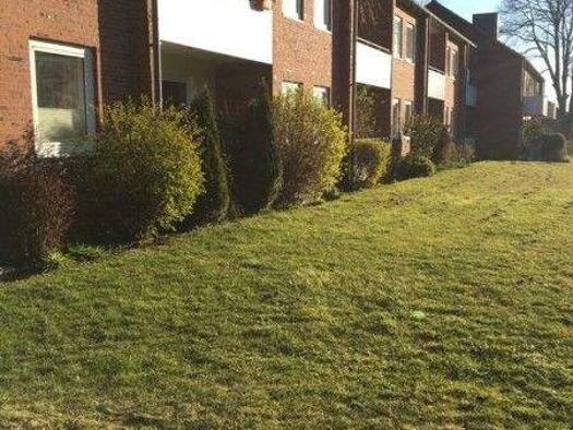 Wohnung zur Miete 405 € 2 Zimmer 51,1 m² 1. Geschoss frei ab sofort Birkenweg 7 Schleswig 24837