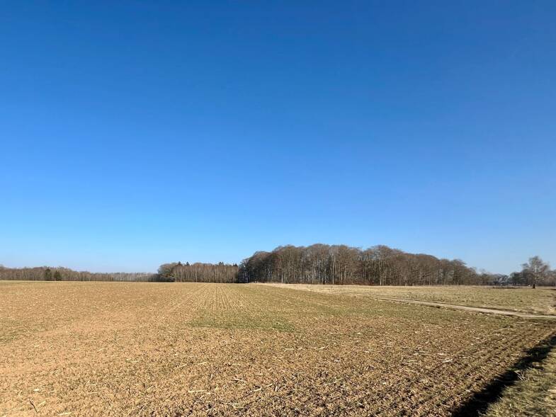 Land-/Forstwirtschaft zum Kauf 175.000 € 19.710 m² Grundstück Oberkesselberg Titting 85135
